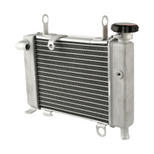 Motorcycle Radiator Radiator Assy Radiator Tanks for HONDA CBR 150